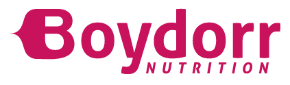 boydorArtboard 1